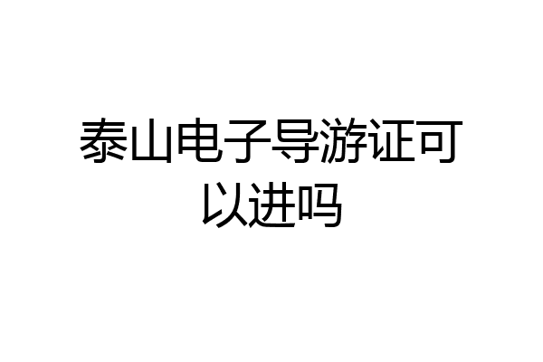 泰山电子导游证可以进吗