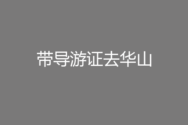带导游证去华山