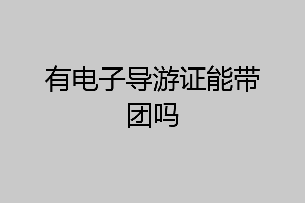 有电子导游证能带团吗