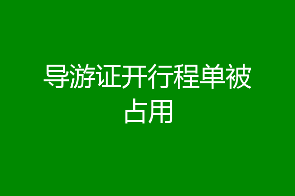 导游证开行程单被占用