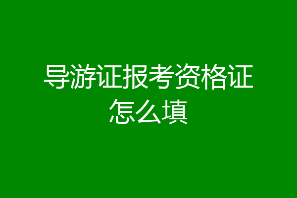 导游证报考资格证怎么填