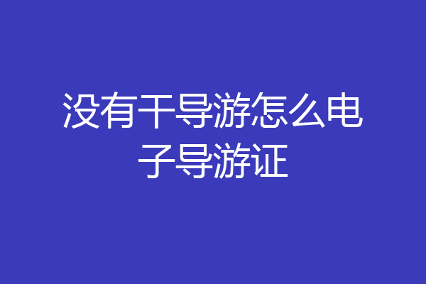 没有干导游怎么电子导游证