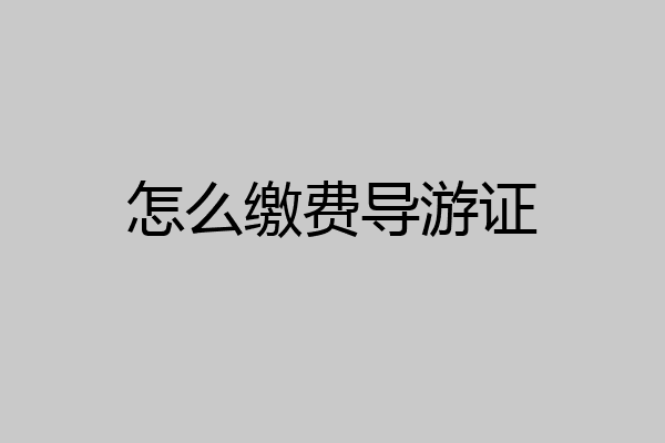 怎么缴费导游证