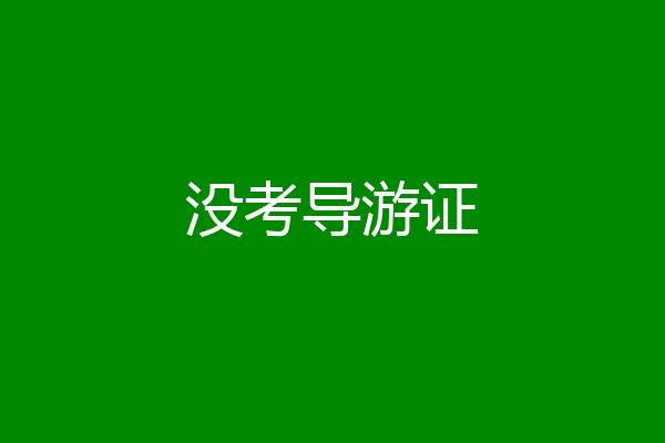 没考导游证