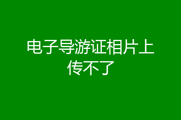 电子导游证相片上传不了