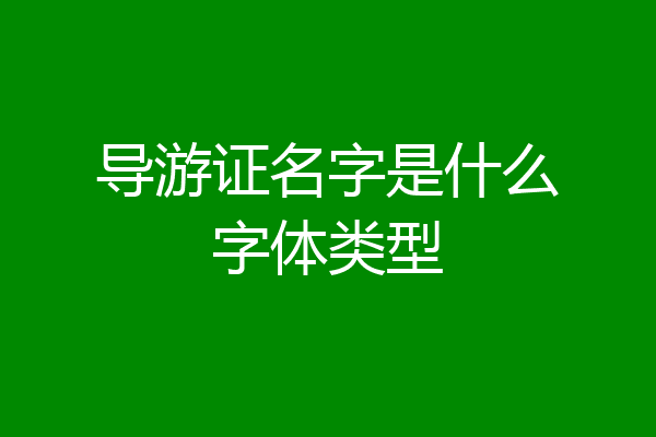 导游证名字是什么字体类型