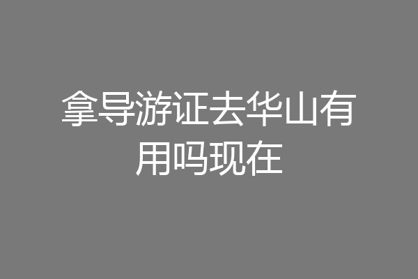 拿导游证去华山有用吗现在