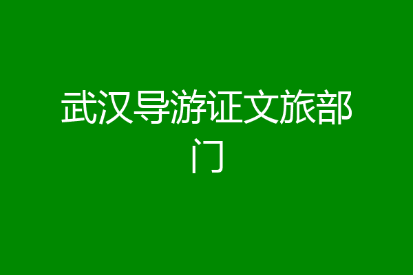 武汉导游证文旅部门