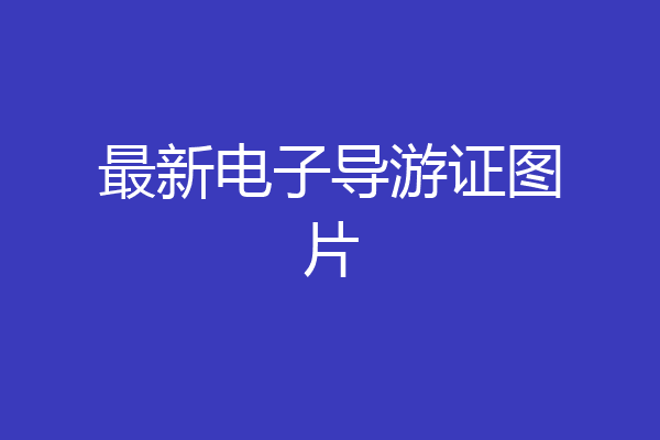最新电子导游证图片