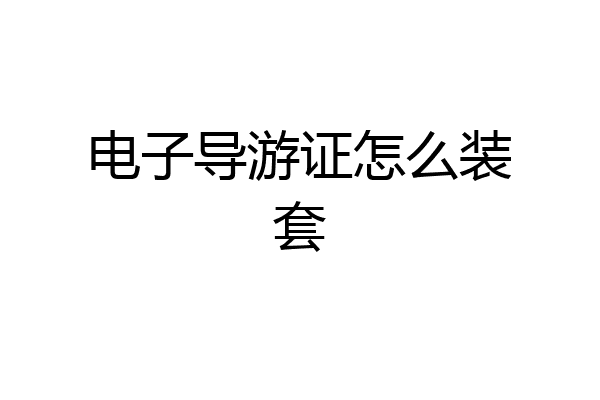 电子导游证怎么装套