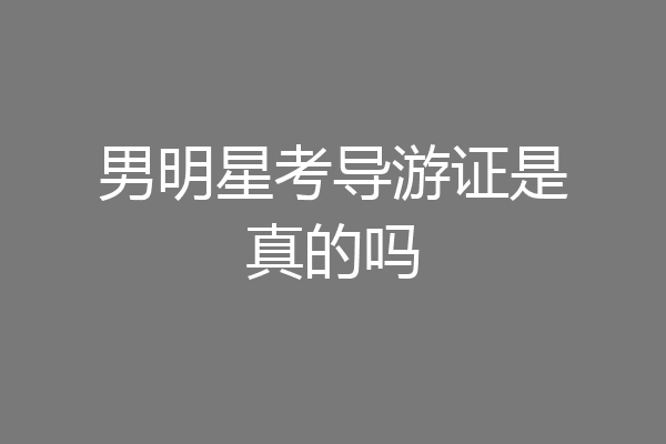 男明星考导游证是真的吗