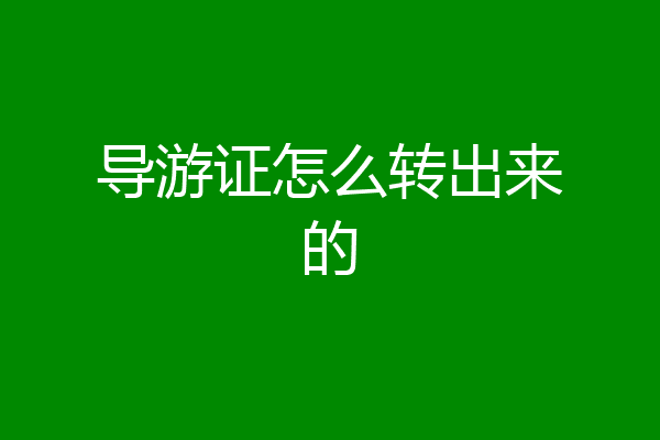 导游证怎么转出来的