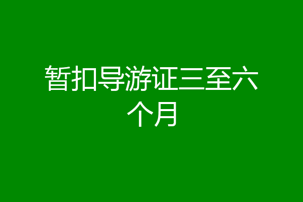 暂扣导游证三至六个月