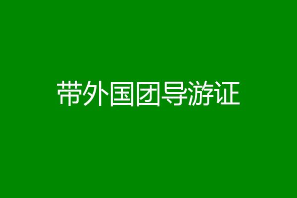 带外国团导游证