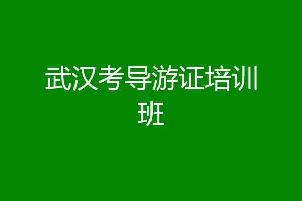 武汉考导游证培训班