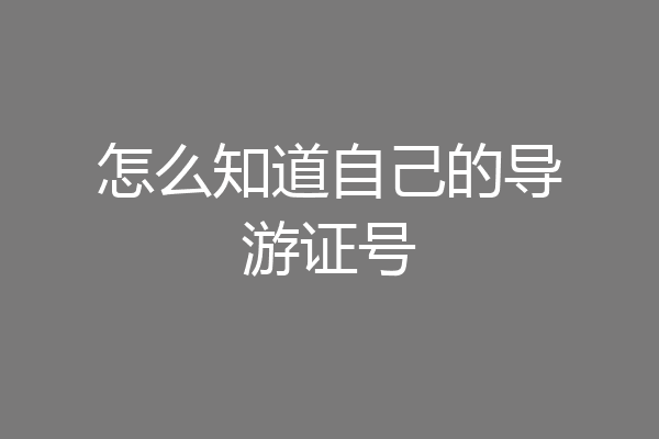 怎么知道自己的导游证号