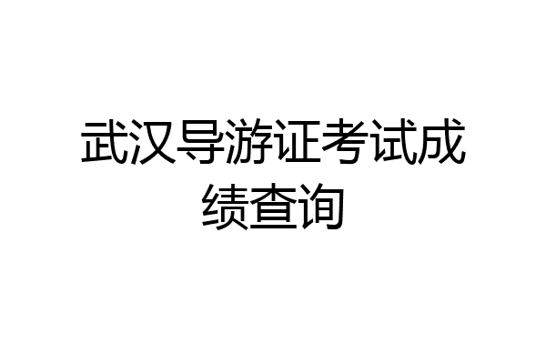 武汉导游证考试成绩查询