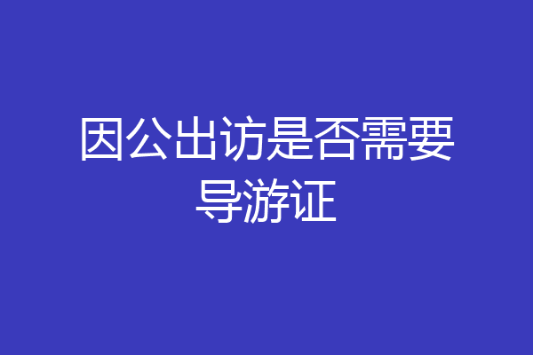 因公出访是否需要导游证