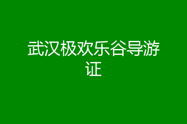 武汉极欢乐谷导游证
