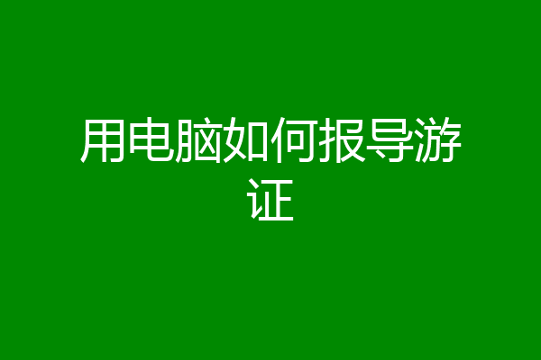 用电脑如何报导游证