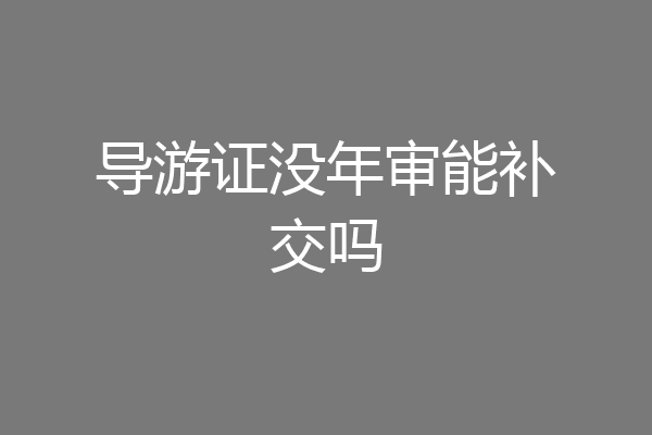 导游证没年审能补交吗