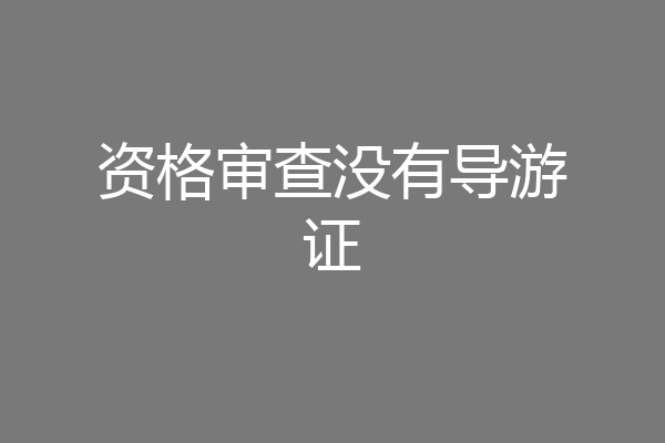 资格审查没有导游证