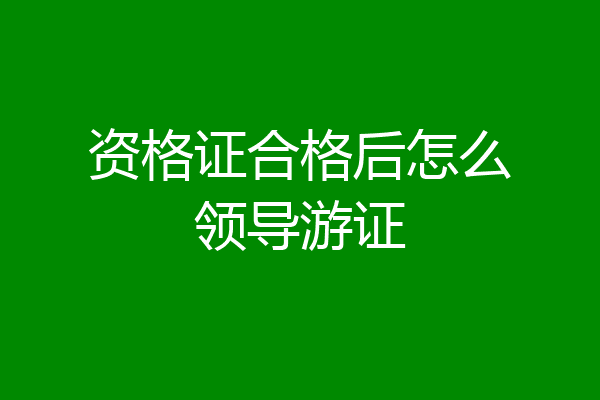 资格证合格后怎么领导游证