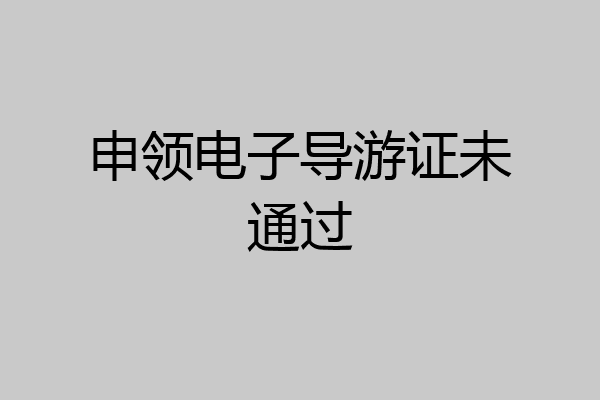 申领电子导游证未通过