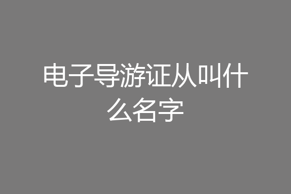 电子导游证从叫什么名字