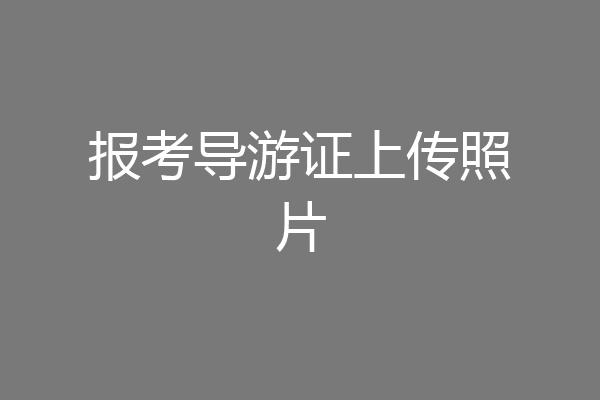 报考导游证上传照片