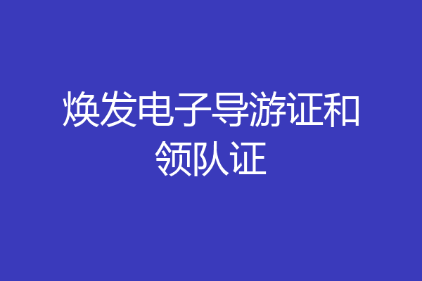 焕发电子导游证和领队证