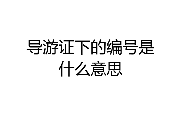 导游证下的编号是什么意思