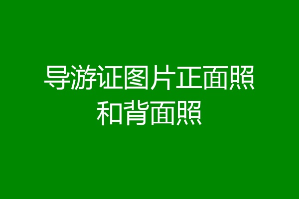 导游证图片正面照和背面照