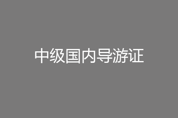 中级国内导游证