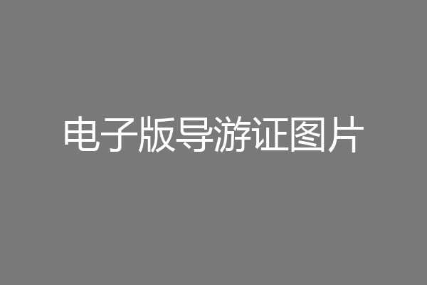 电子版导游证图片