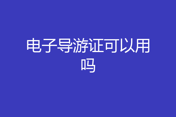 电子导游证可以用吗