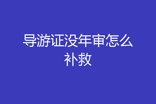 导游证没年审怎么补救