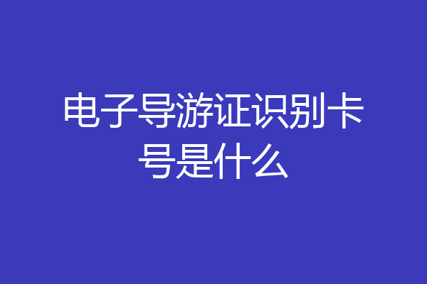 电子导游证识别卡号是什么