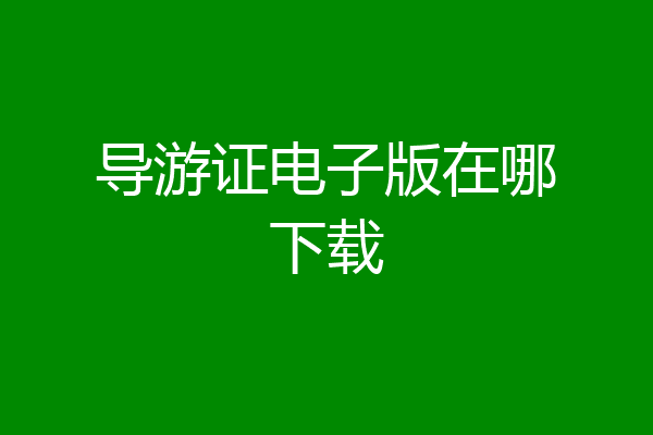导游证电子版在哪下载