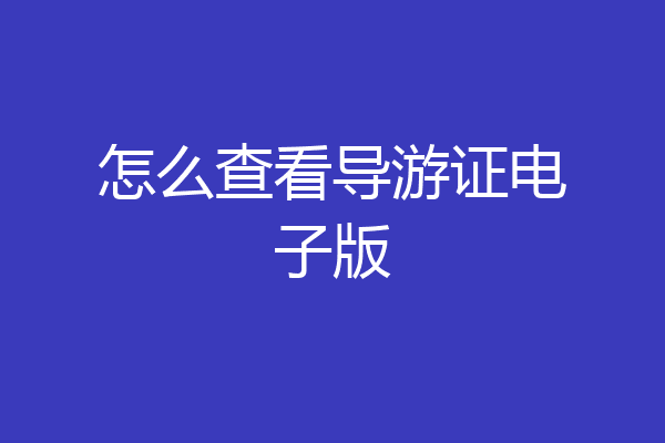 怎么查看导游证电子版