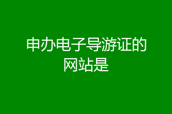 申办电子导游证的网站是