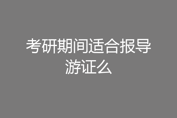 考研期间适合报导游证么