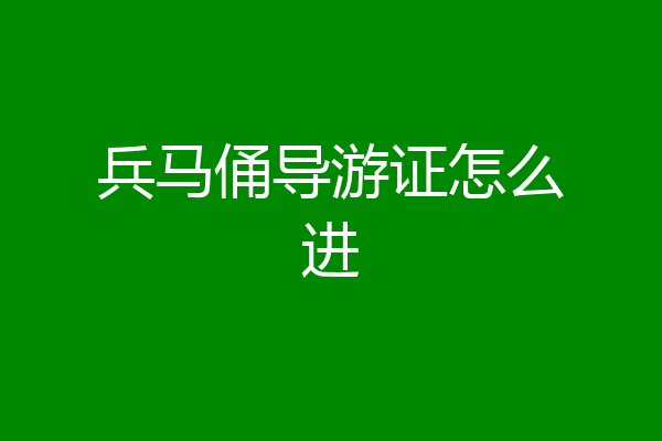 兵马俑导游证怎么进