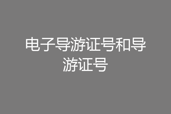 电子导游证号和导游证号