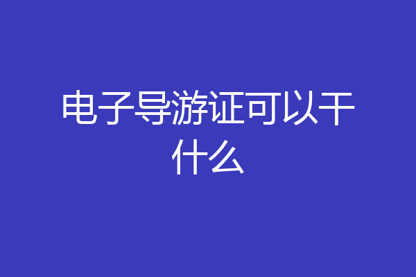 电子导游证可以干什么