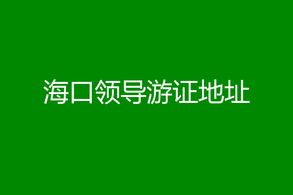 海口领导游证地址