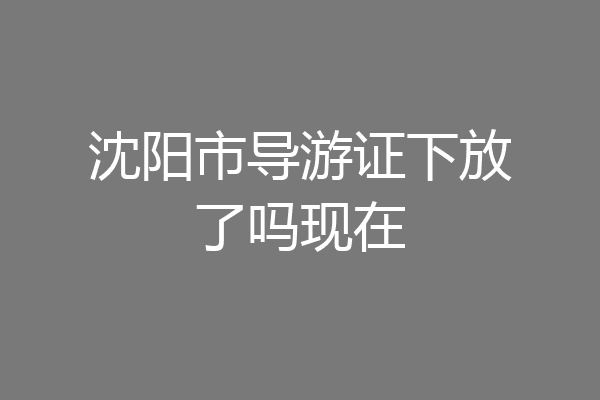 沈阳市导游证下放了吗现在
