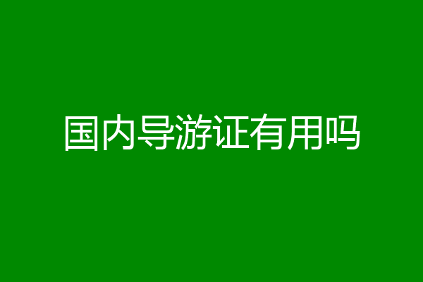 国内导游证有用吗