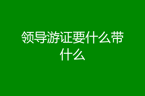 领导游证要什么带什么