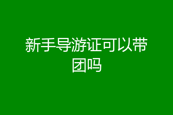 新手导游证可以带团吗